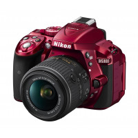 Nikon D5300 Digitalkamera DSLR, 24.1 Megapixel, SD 8 GB 200 x Premium Lexar [Nital Card: 4 Jahre Garantie]-22